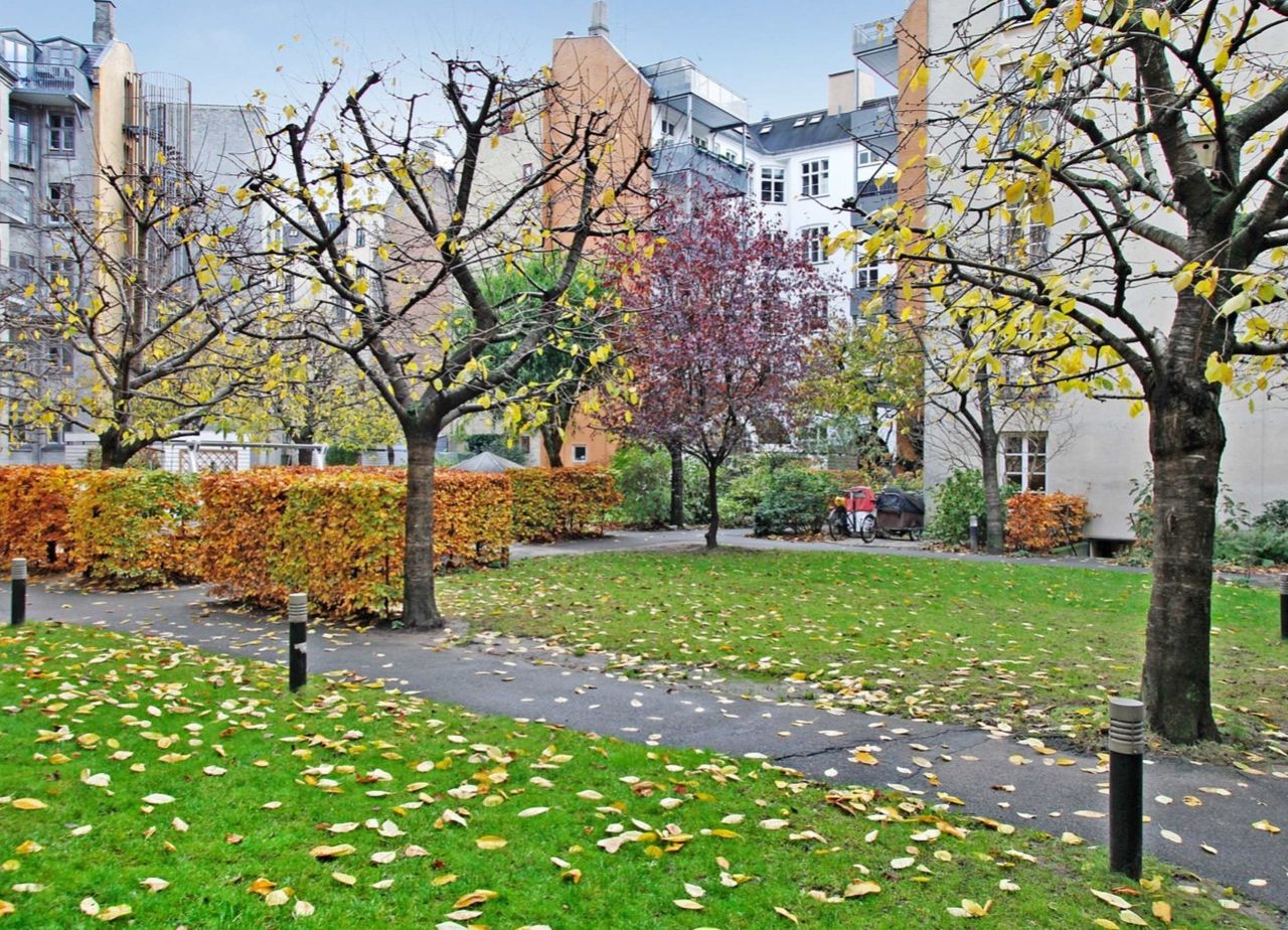 image 02