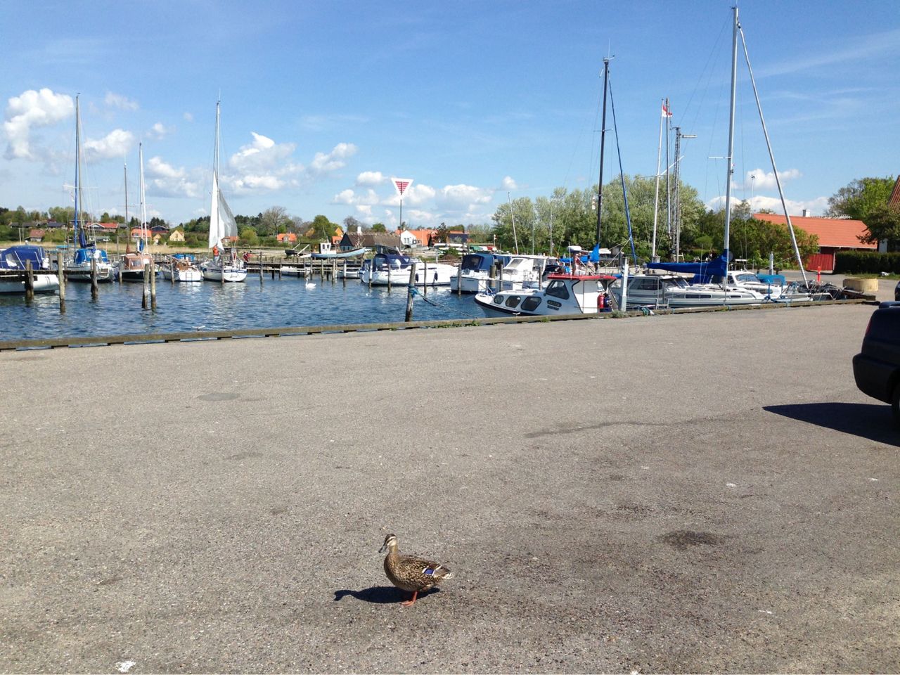 image 03