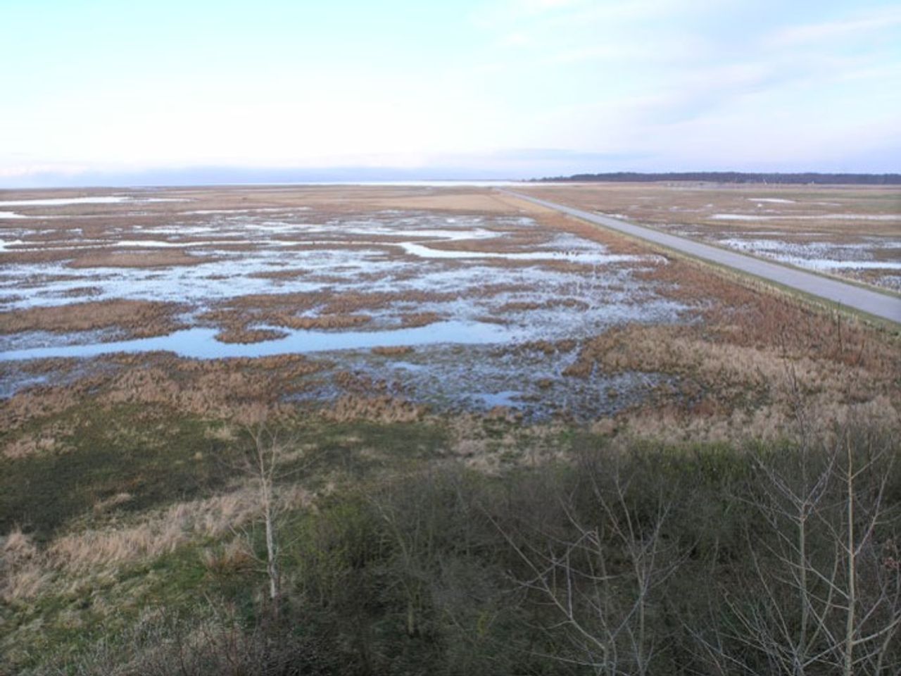 image 02