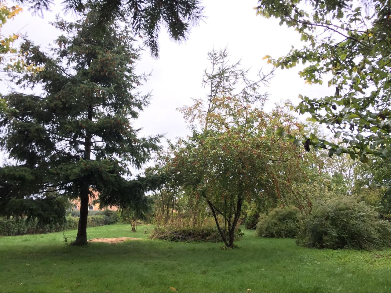 image 01