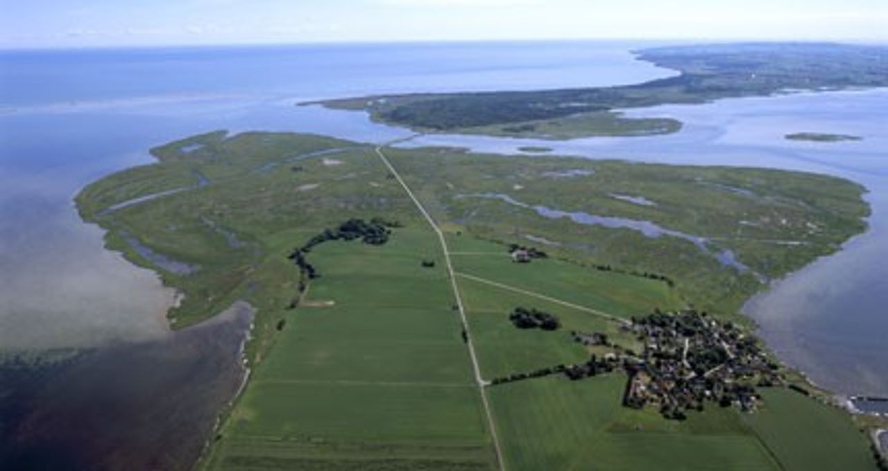 image 01