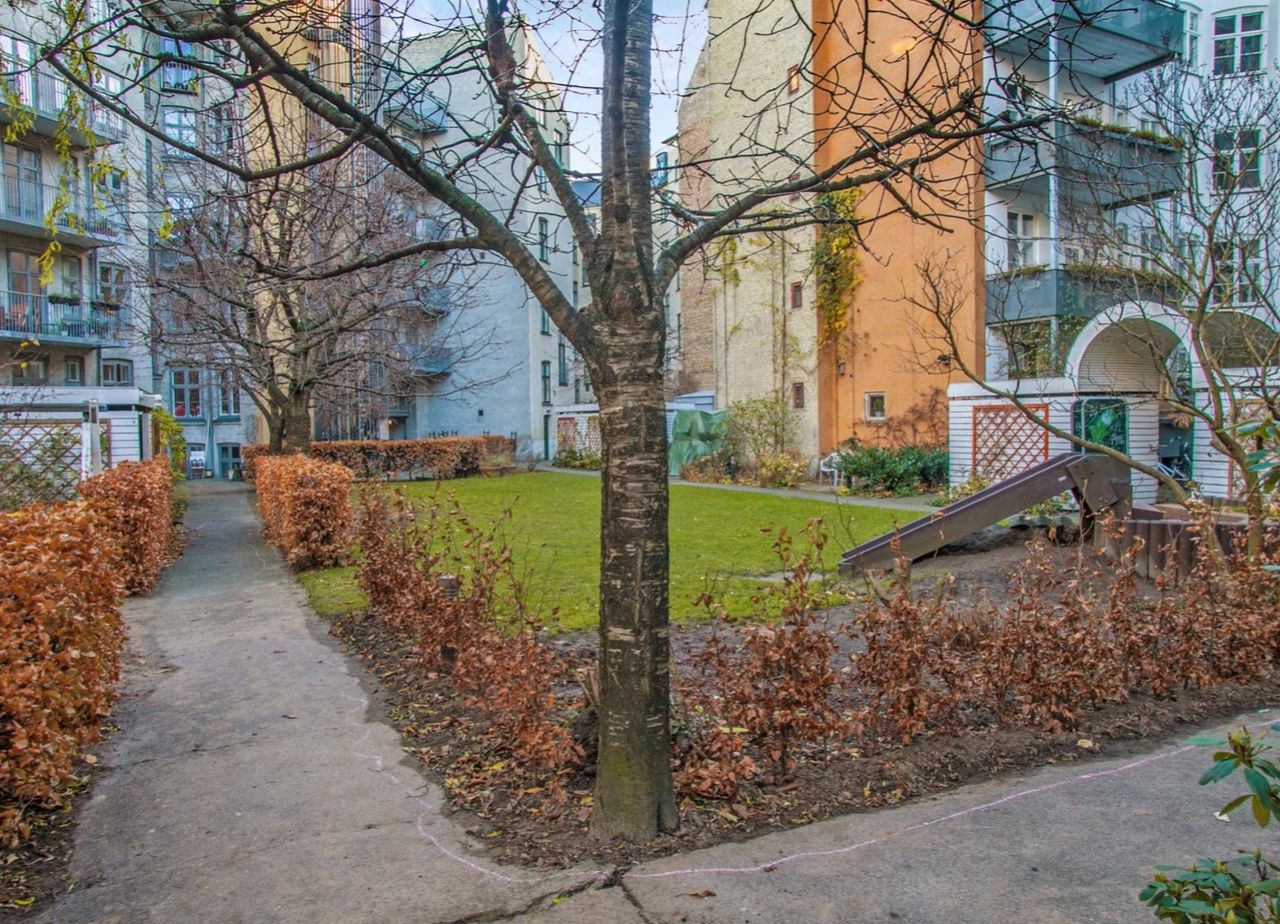 image 02