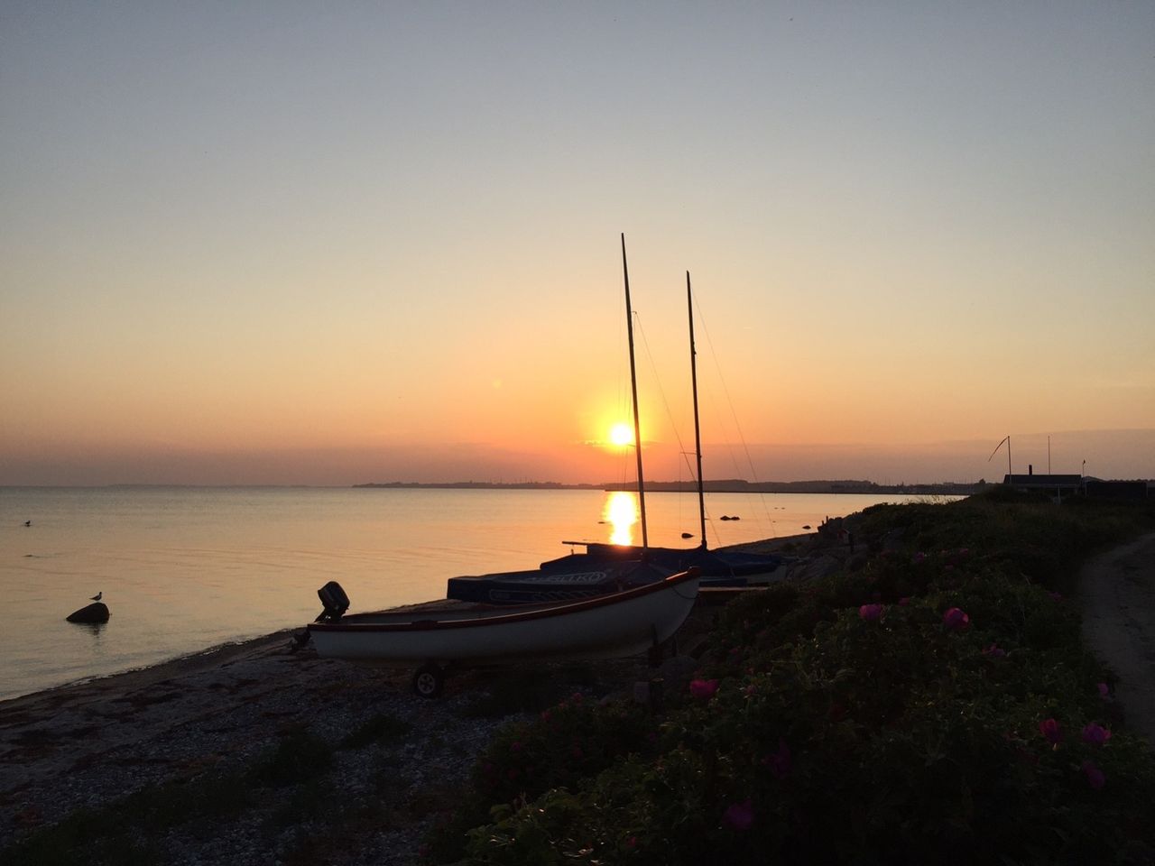 image 01