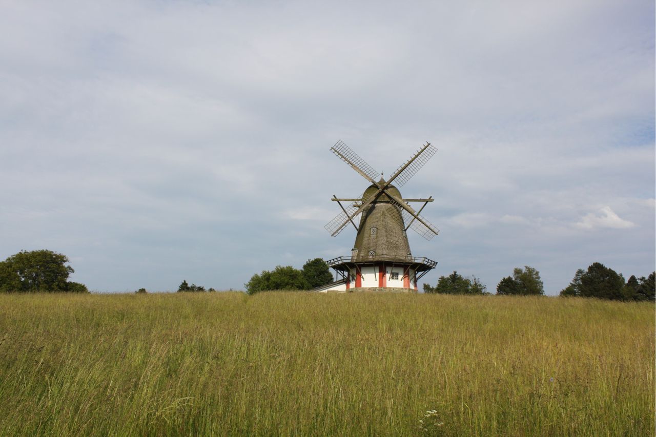 image 04