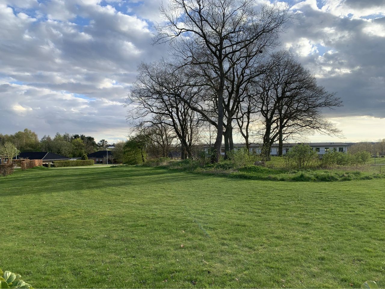 image 01