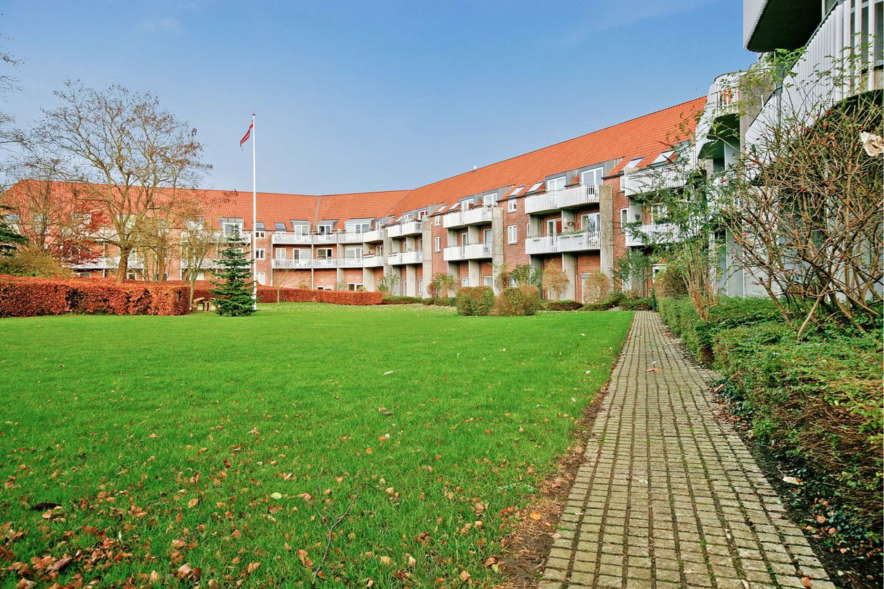 image 01