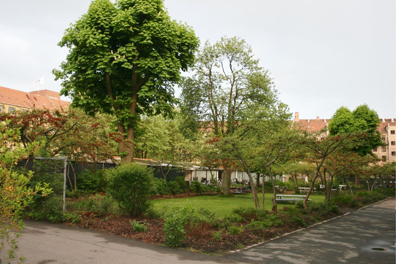 image 03