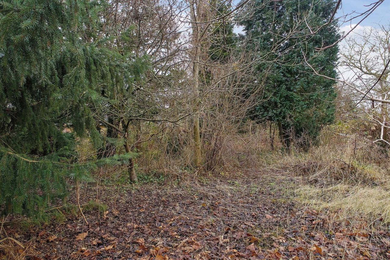 image 02